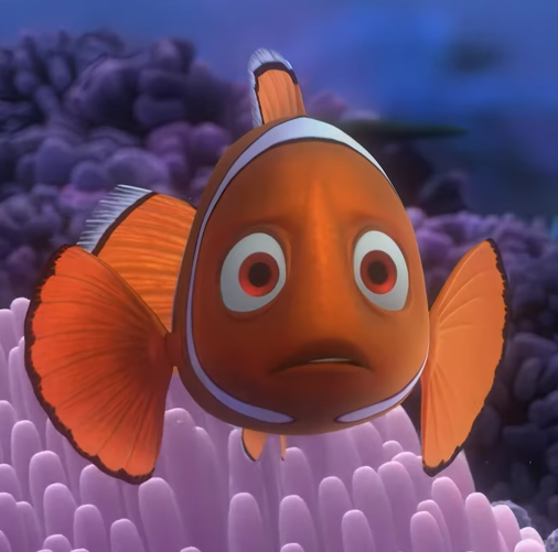 coral finding nemo