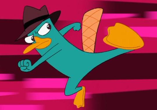 Where's Perry?  Perry el ornitorrinco, Ornitorrinco, Phineas y ferb