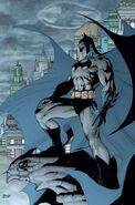 Batman (DC universe)