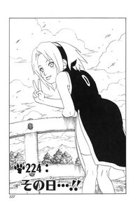 Sakura Chapter 224 Cover