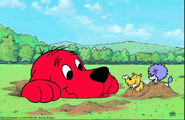 Clifford digging with Cleo and T-Bone.