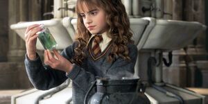 Hermione in the girls bathroom