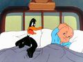 Daffy with Porky