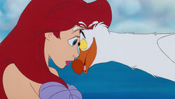 Ariel and Scuttle face-to-face.