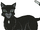 Ravenpaw