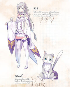 Character summaries of Puck and his contractor Emilia in the first light novel.