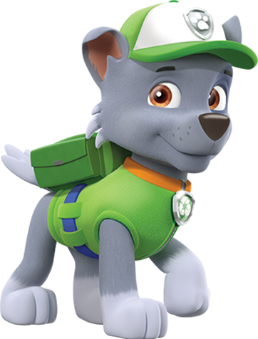 Rocky PAW Patrol Heroes Wiki Fandom