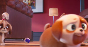 Secretlifeofpets2-animationscreencaps.com-5029