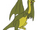 Zok