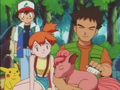 Brock and Vulpix