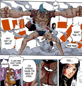 One Piece Manga Franky protects Robin