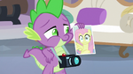 Spike holding Fluttershy's photograph S8E9