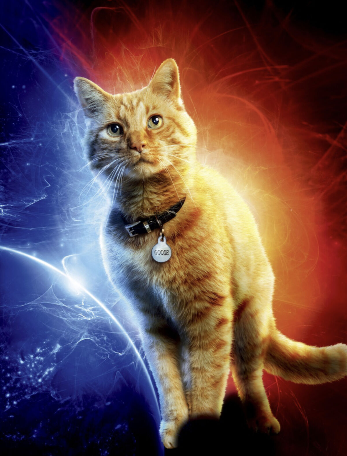 Goose Marvel Cinematic Universe Heroes Wiki Fandom