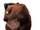 Paddler.png