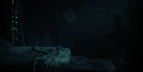 Lucas entering a bedroom.