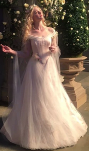 Sleeping Beauty Dress