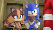 Sonic and Sticks 1