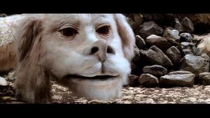 The Neverending Story II's Falkor retained the physical look, as well as his charismatic and wise attitude with minor adjustments involved.