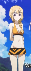 Charlotte swimsuit