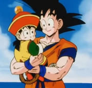 Gohan and Goku