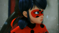 Stormy Weather - Ladybug 03