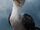 Zazu (remake)