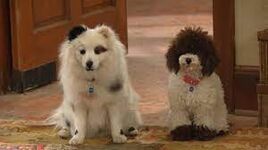 Gracie and Freddie
