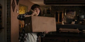 Joyce going to put the package down on a counter.