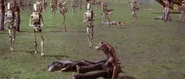 Tarpals and Jar Jar on the ground after the tank crashes.