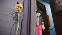 "Hey, I haven't even introduced myself. I'm Cat Noir."