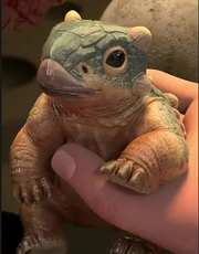 Newborn Bumpy