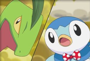 Piplup and Grovyle (Mystery Dungeon Special)