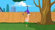 Ferb Bailando