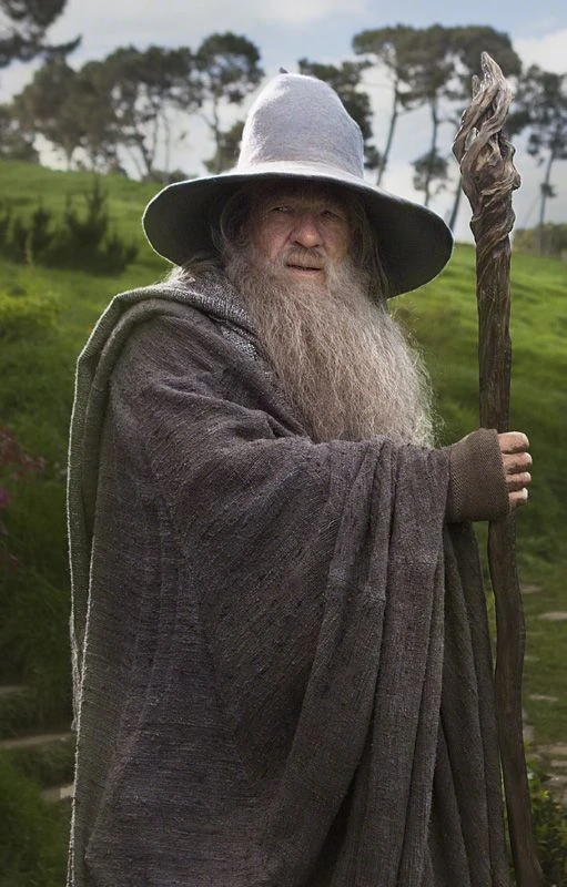 The Gandalf™️ Ring - Gandalf Lord of the Rings