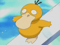 Psyduck walking obnoxiously.