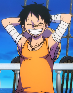 Luffy's third outfit in One Piece: Stampede.