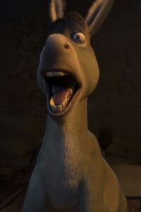 Donkey's comical yell