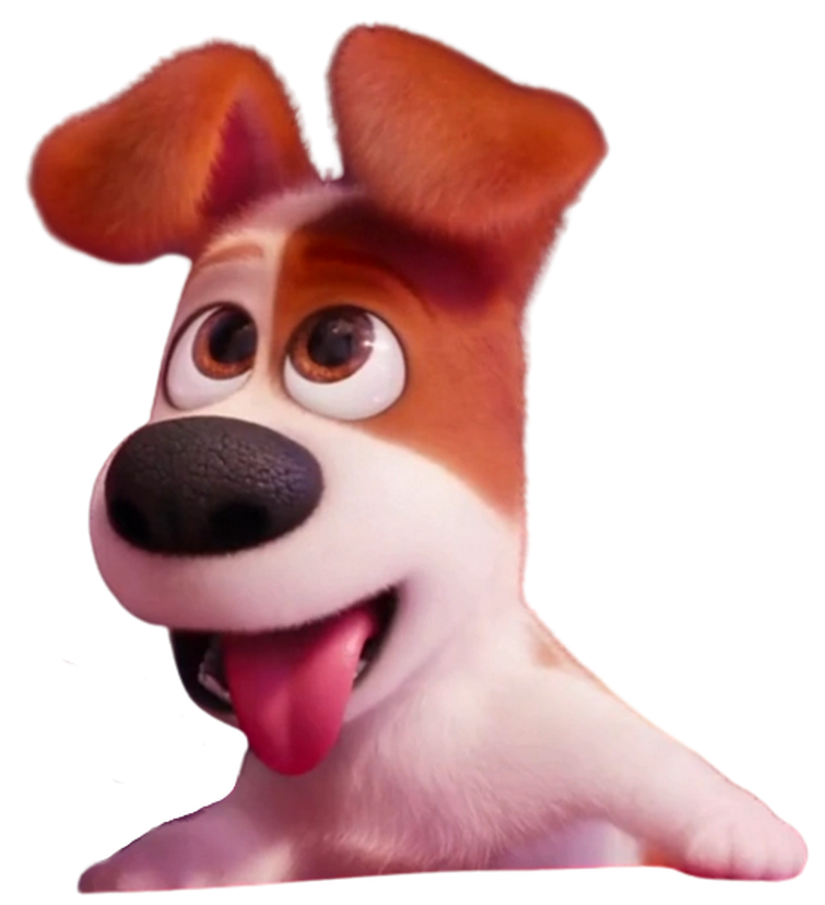 Max (The Secret Life of Pets) | Heroes Wiki | Fandom Max (The Secret Life of Pets) | Heroes Wiki | Fandom