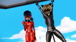 Mr. Pigeon - Ladybug and Cat Noir 10