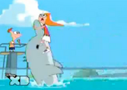 Candace con un delfin