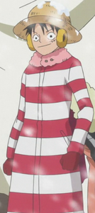 Luffy's first outfit during the Punk Hazard Arc.