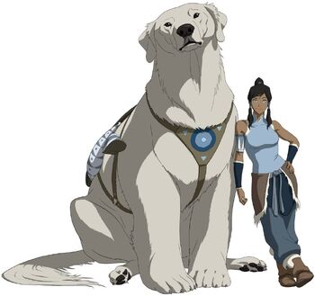 Suki (Avatar), Heroes Wiki
