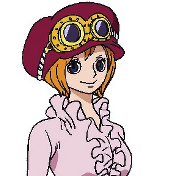 Koala One Piece Heroes Wiki Fandom Koala One Piece Heroes Wiki Fandom