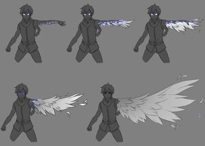 Transformation