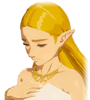 Ceremonial Zelda's Sad Mugshot (Post-Awakening).