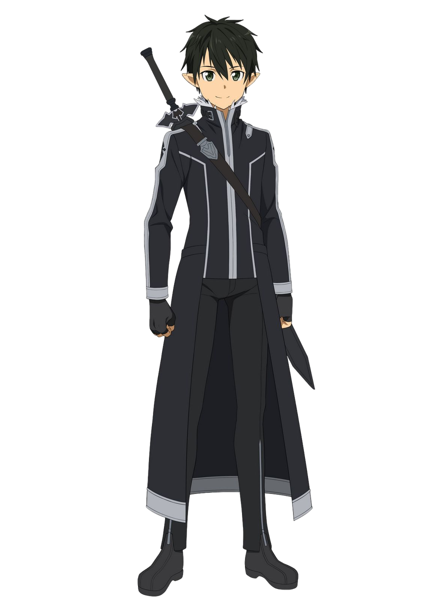 Kirigaya Kazuto, Sword Art Online Wiki