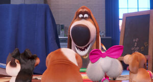 Secretlifeofpets2-animationscreencaps.com-4965