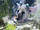 Trico