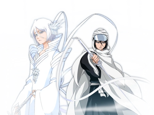 Rukia Kuchiki Heroes Wiki Fandom Kuchiki rukia is the first death god to encounter ichigo. rukia kuchiki heroes wiki fandom