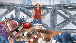 Luffy250